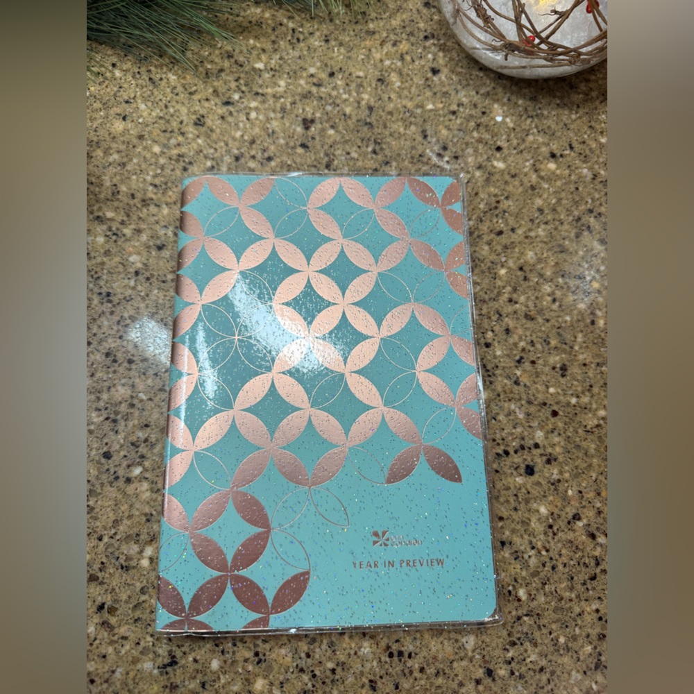 🌟🎁📘 Year In Preview PetitePlanner – The Perfect Goal-Getter Gift 📘🎁 🌟